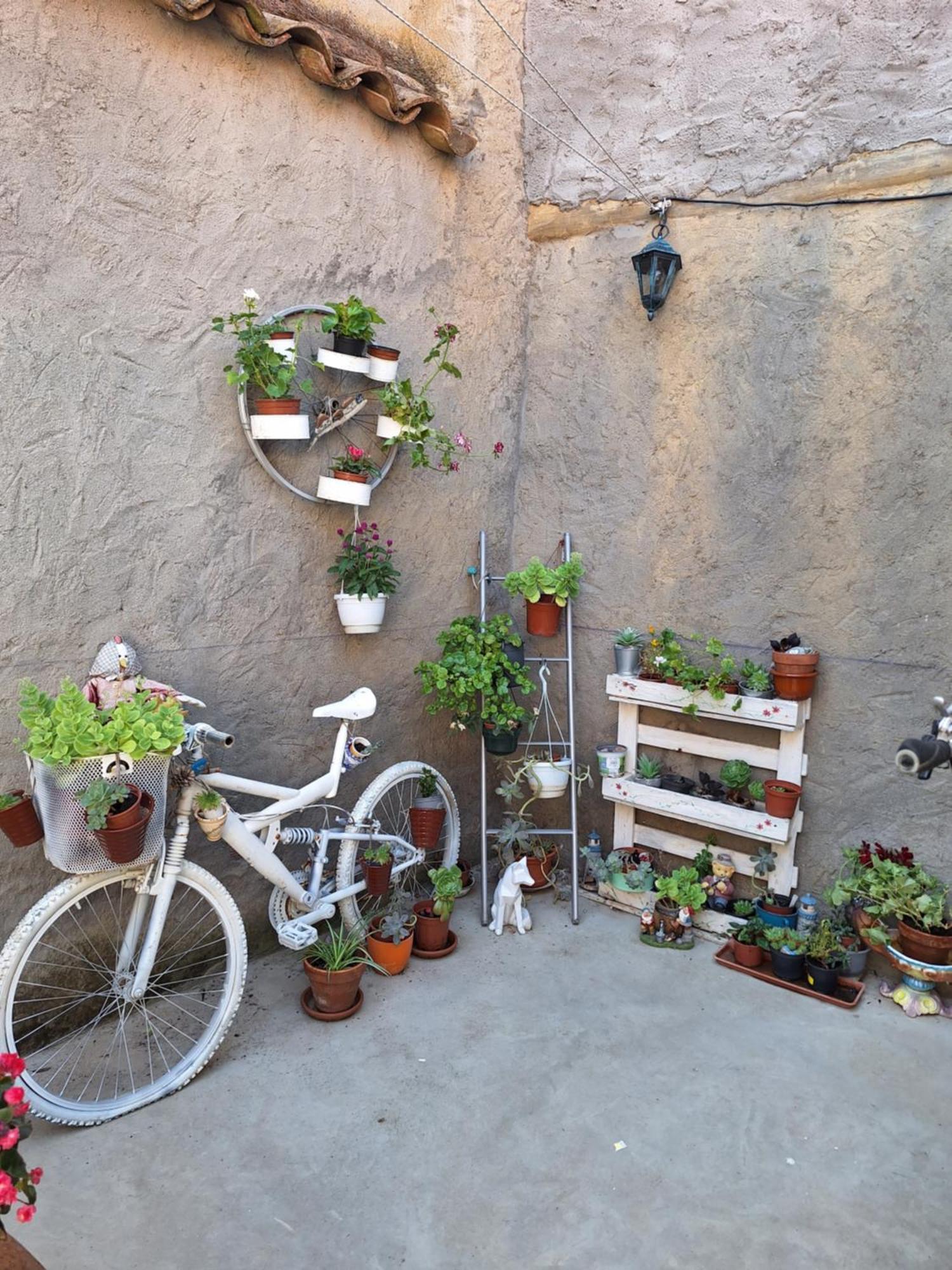 Casa Pita Siente Paz Y Calma En Un Lugar Con Encanto Bbc Btt Ninos Pets Villa San Justo de la Vega Eksteriør billede